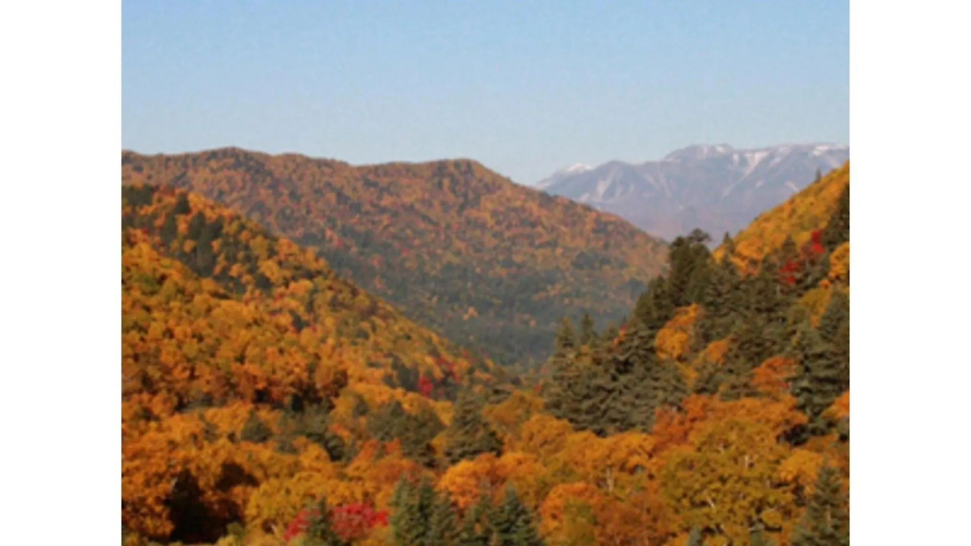 Mount View Hotel - Vacation Stay 40095V 가미카와